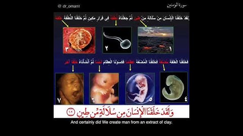 ارح سمعك 😴❤. سورة المؤمنين من اية ١٢ الى اية ١٤