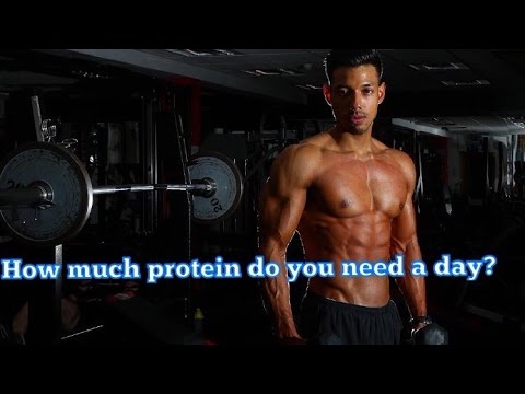 How Much Protein Do You Need A Day? | Best Sources - YouTube