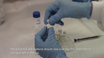 One Step Plant Tissue Lipid Extraction