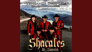 Video thumbnail of "Shacales De Sonora - Y Me Besa"