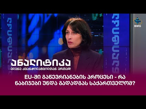 EU-ში გაწევრიანების პროცესი - რა ნაბიჯები უნდა გადადგას საქართველომ?