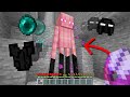 Minecraft But You Can Shear Any Mob...