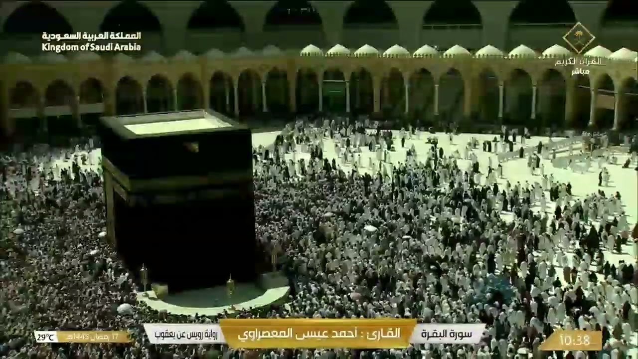 المعصراوي رواية رويس عن يعقوب سورة البقرة.