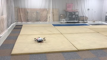 AscTec Firefly - Simple Demo