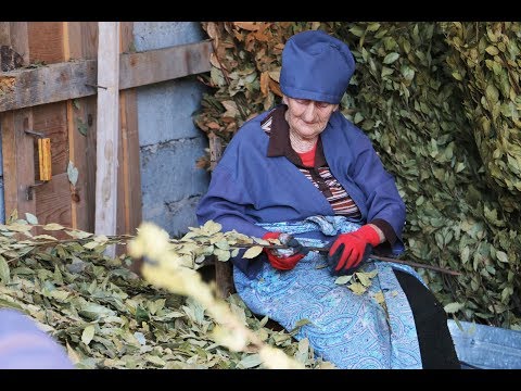 სამეგრელოს რეგიონში გრანტი 70 დევნილს გადაეცა