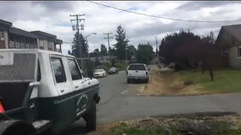 How not to prune an oak tree part two in full foliage