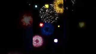 ?Happy New Year shorts 2022 yearofthetiger fireworks