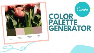 How to find colors for your Brand using Canva Color Palette Generator