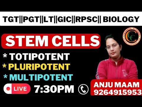 TYPES OF STEM CELLS || TOTIPOTENT || PLURIPOTENT || MULTIPOTENT || BY ANJU MAM #chandraclasses.com