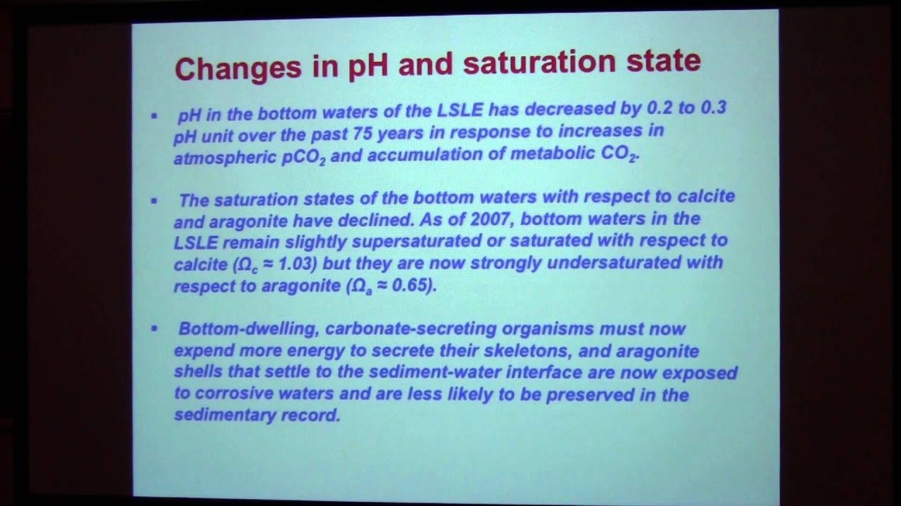 SoMAS - Biogeochemical Functioning of Benthic Ecosystems