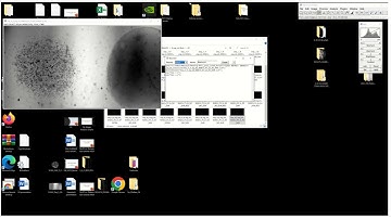 How to create a macro: Fiji image analysis: How to automate: batch processing