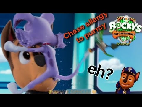 Paw patrol 🐾 | Rocky cat-astrophe meme ( chase hard allergy to purrcy explode)