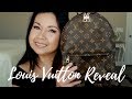Louis Vuitton Reveal | Palm Springs Backpack PM | Lala Shaw