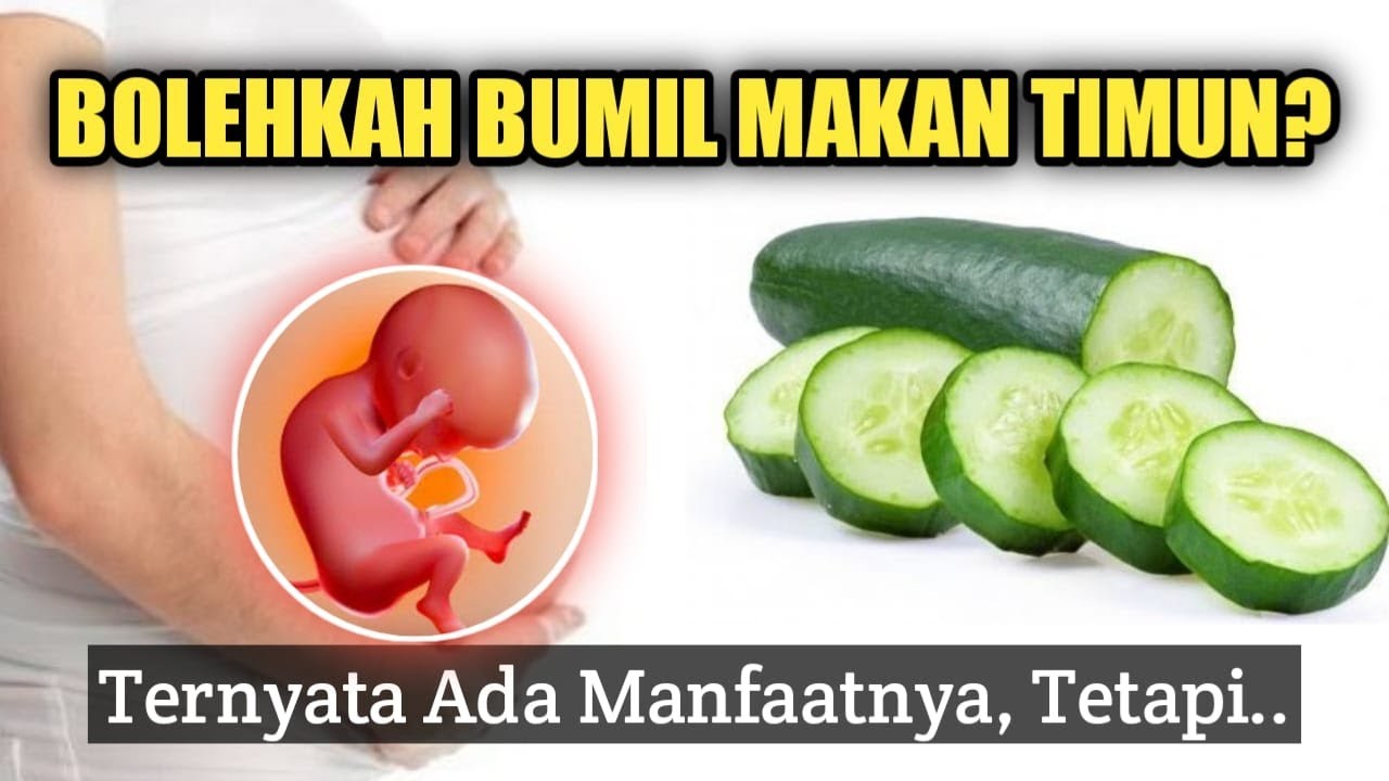 BOLEHKAH IBU HAMIL MAKAN TIMUN? Ternyata Ini Dampaknya pada Janin.. BOLEHKAH IBU HAMIL MAKAN TIMUN? Ternyata Ini Dampaknya pada Janin..