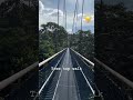 Nature's Beauty from Above | Widsor Nature Park Tree Top Walk | Singapore