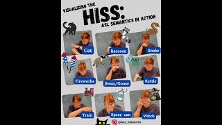Visualizing the HISS: ASL Semantics in Action