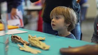 NHMU's DinoFest!