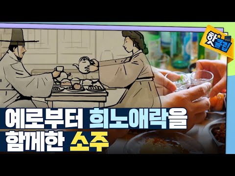 [핫클립] 역사에 등장하는 소주 이야기 / YTN 사이언스