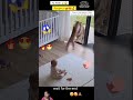 greatest save 🥹🥰#trending #allah #familylove 💜👍