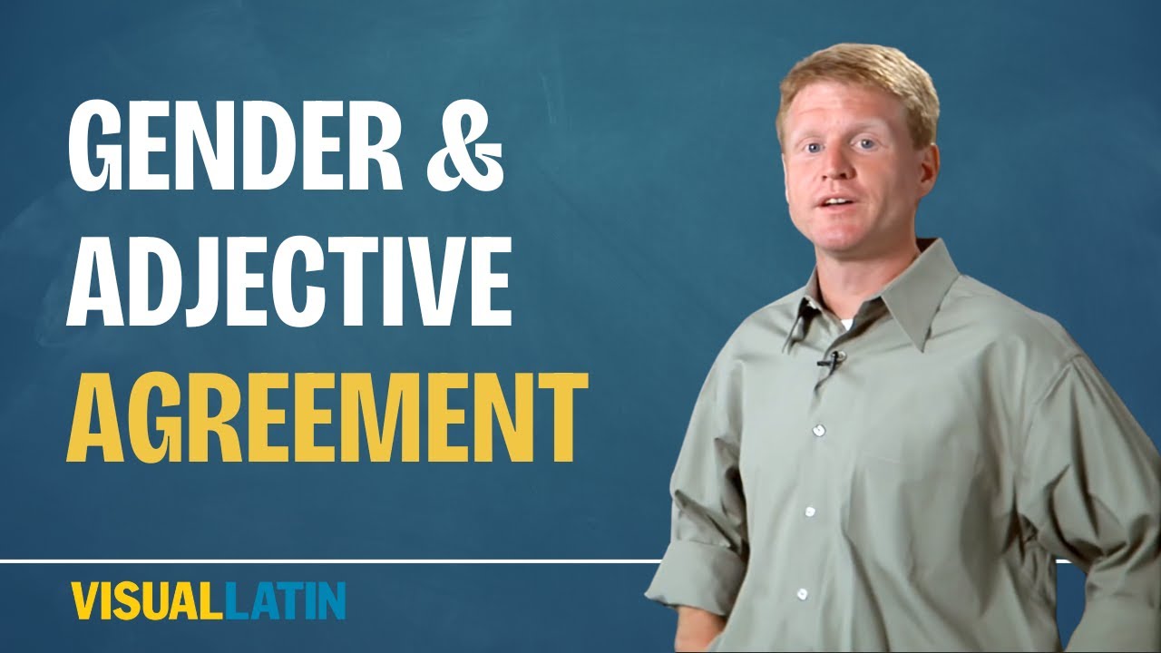 Quick Practice for Gender and Adjective Agreement | Visual Latin 3B