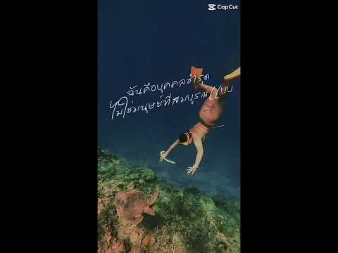 รองเท้า : Flukfix