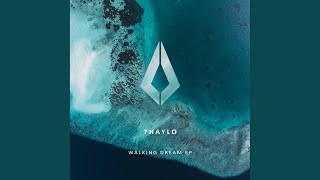 Lost Thought - Thaylo