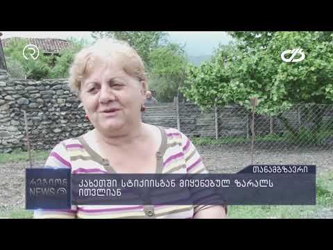 კახეთში სტიქიისგან მიყენებულ ზარალს ითვლიან