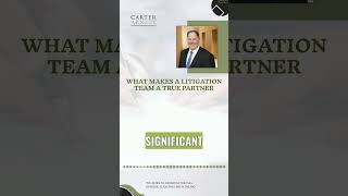 What Makes a Litigation Team a True Partner