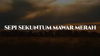 Sepi Sekuntum Mawar Merah, Butakah Cinta, Kau Yang Satu [Lirik Lagu] - Ella