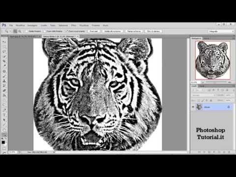 Trasformare la foto in stampa serigrafica con Photoshop