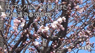 ほくでんグループが見つけた北海道の春の息吹 vol.2