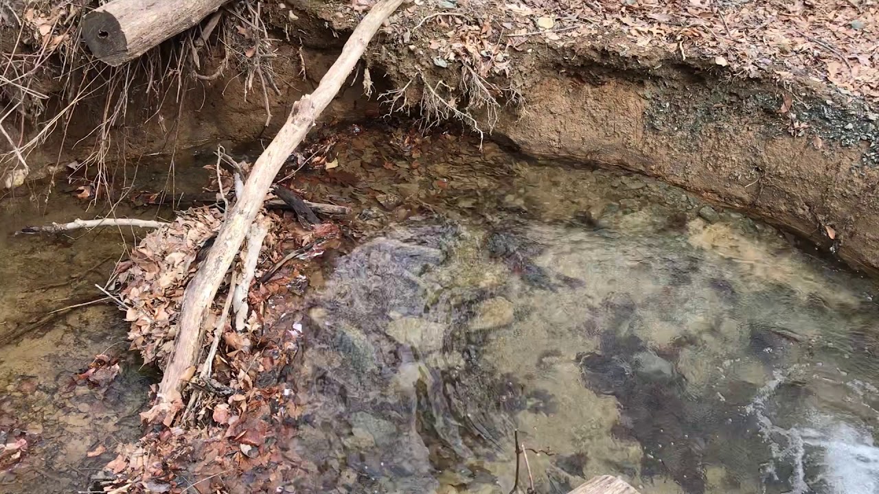 Soothing Stream Seneca Park Flowing  Into the Potomac Virginia