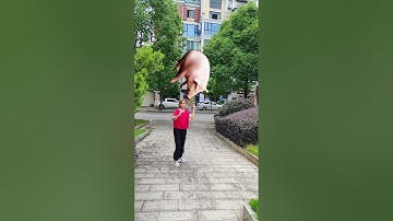 Funny photo shoot One-click cut the same style Photo shoot is fun Video effect please do not imitate