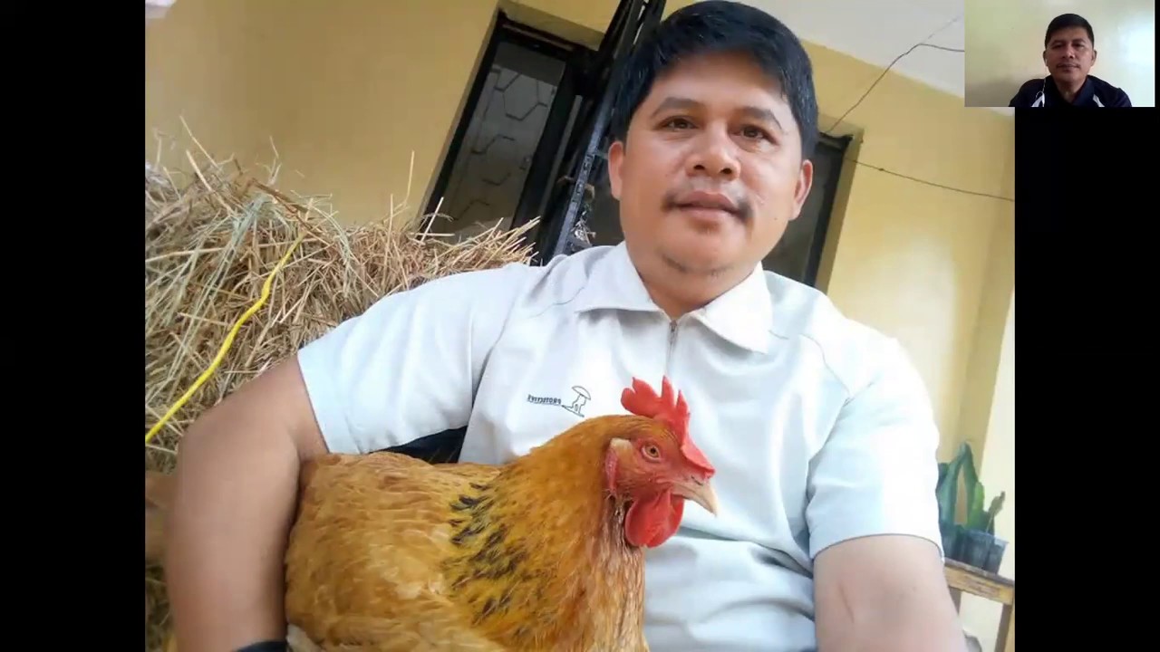 Freddie's Farm aka Acosta Nature Farm - Nairobi Kenya