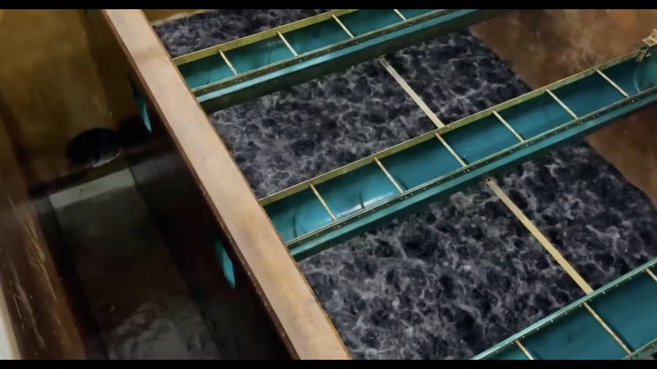 Falmouth, Massachusetts improves water supply quality with Xylem Wedeco & Leopold