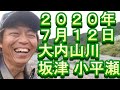 鮎釣り 大内山川 釣果 小澤剛 友釣り無双