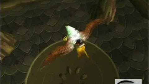 WoW Black Temple Exploit