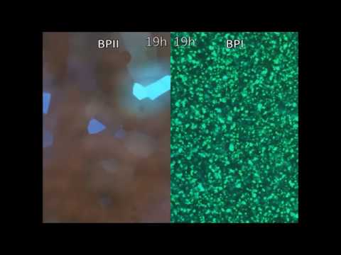 Large three-dimensional photonic crystals based on monocrystalline liquid crystal blue phases
