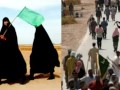حذرتك لا تتحداني علي الزينبي 