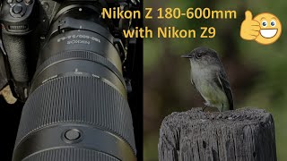 Nikon Z 180-600mm with Nikon Z9