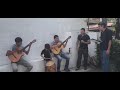 La ñaupa ñaupa cantores del tafi (ensayo) #folklore #tucuman #ensayo
