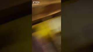 free joe exotic - megan guthrie