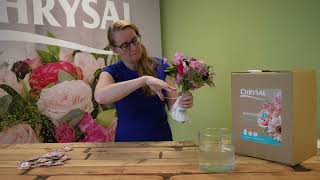 Chrysal Arrive Alive® Eco