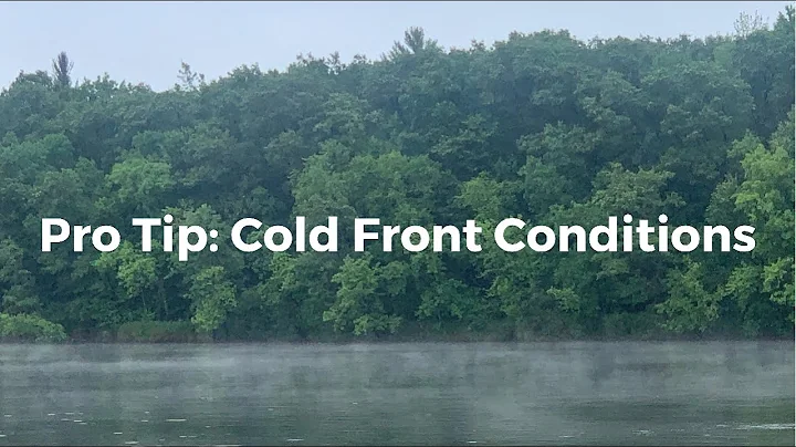 Pro Tip: Cold Front Conditions