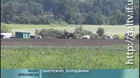 Обережно, борщівник!