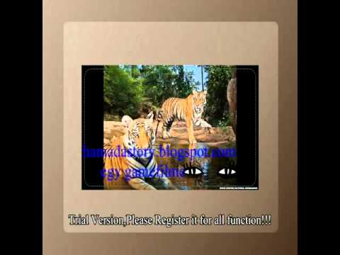 ايمان البحر درويش سلامات