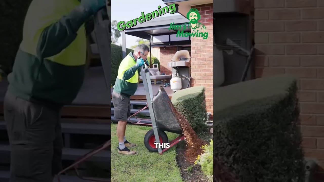 How to makeover a garden? #garden #jimsmowing #gardening #gardeningtips #gardeningtiktok