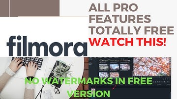 Export/Save video in Filmora without Watermark for free. (convert Free Version to Pro)