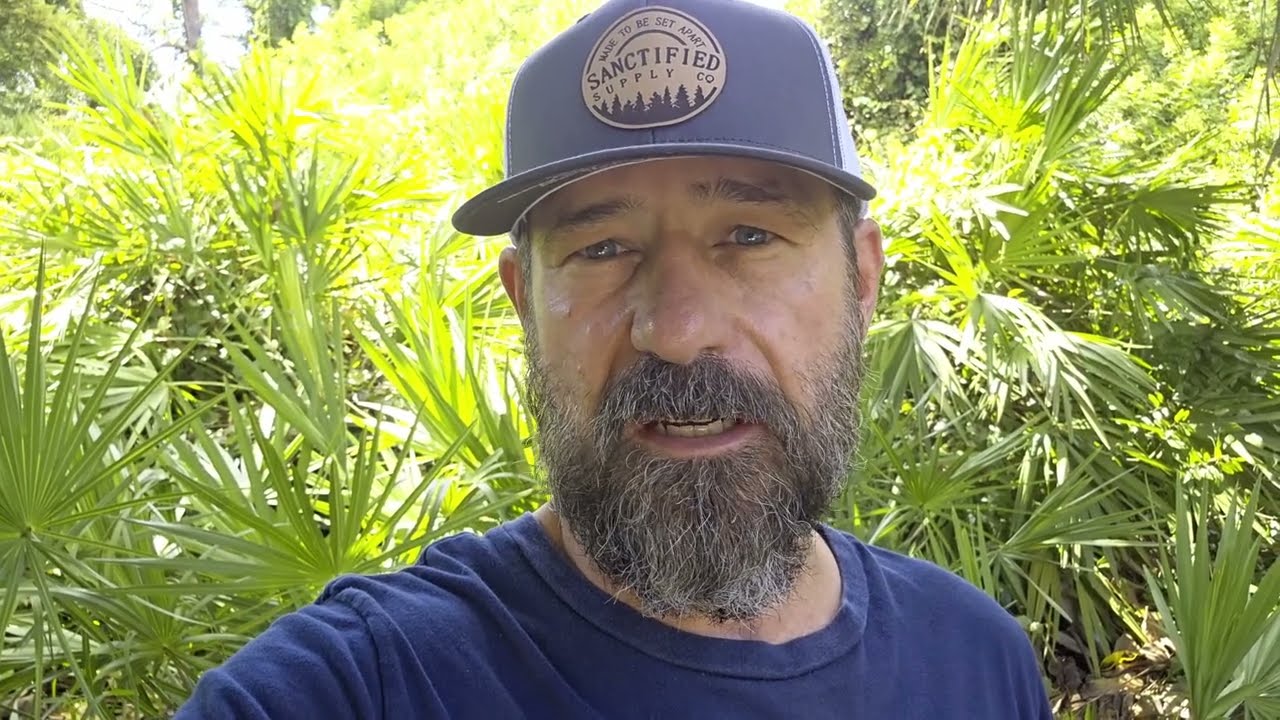 Nobody Gets Away With Anything Ever