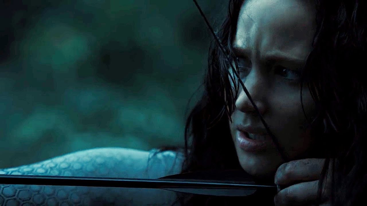 Catching Fire || This is the revolution.